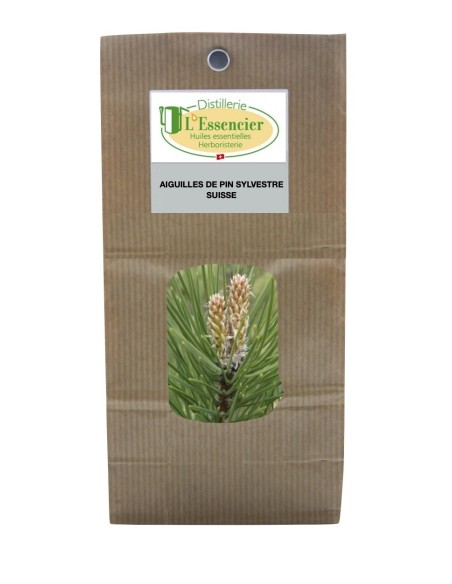 INFUSION : Aiguille de pin sylvestre Suisse