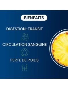 Bromelaïne 5000 GDU (60 à 300 gél) 2