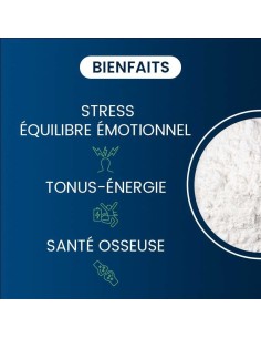 Magnésium bisglycinate chélaté TRAACS : 60 gélules 2