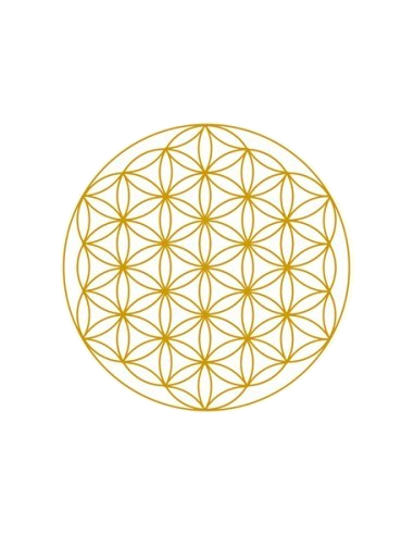 Carafe à onde de forme et ses 4 verres