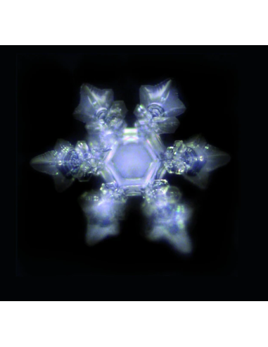 Carafe à onde de forme et ses 4 verres