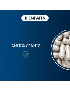 CoQ10 - Ubiquinol Kaneka 100mg - Dynveo 2