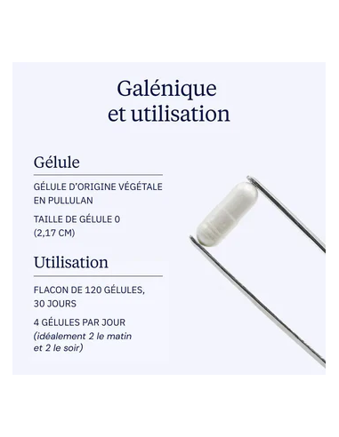 Complexe Magnésium 360