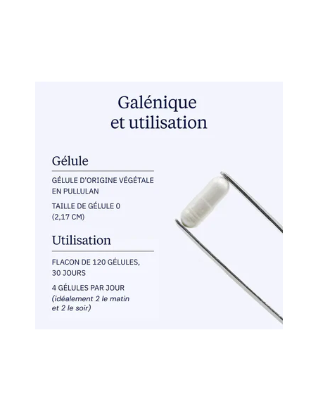 Complexe Magnésium 360