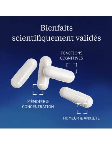 Magnésium L-thréonate : Magtein®