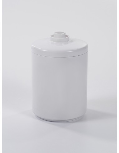 filtre de rechange pour ensemble de filtration bain douche