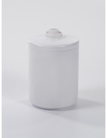 filtre de rechange pour ensemble de filtration bain douche